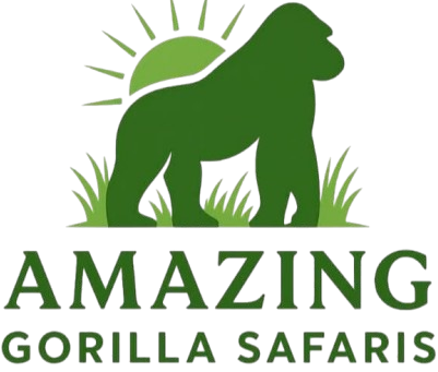 Africanprimates